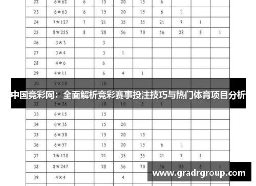 中国竞彩网：全面解析竞彩赛事投注技巧与热门体育项目分析